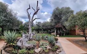 Olienhoff Guesthouse And Rest Camp